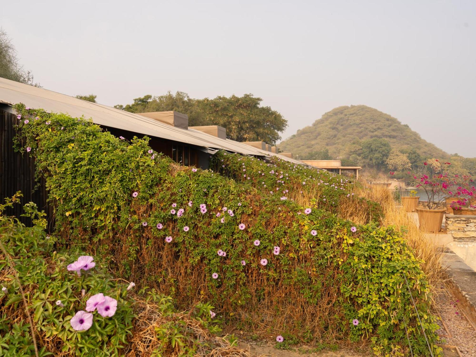 Raas Chhatrasagar, Nimaj, District Pali Zewnętrze zdjęcie